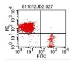Bu1 Antibody (AV20), FITC, Novus Biologicals 0.25mg; FITC:Antibodies, Monoclonal