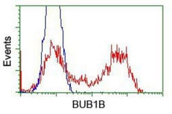 BubR1 Antibody (OTI6E5), Novus Biologicals 0.1mL; Unlabeled:Antibodies,