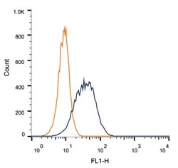 BubR1 Antibody (8G1) - BSA Free, Novus Biologicals 0.025mL; Unlabeled:Antibodies,
