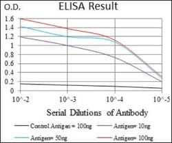 HROB Antibody (7A3A9) - BSA Free, Novus Biologicals 0.1mL; Unlabeled:Antibodies,