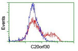 TMEM230 Antibody (OTI2C8), Novus Biologicals 0.1mL; Unlabeled:Antibodies,