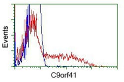 CARNMT1 Antibody (OTI4B7), Novus Biologicals 0.1mL; Unlabeled:Antibodies,