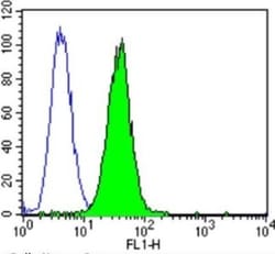 CACNA2D1 Antibody (20A), Novus Biologicals 0.025 mL, Unconjugated:Antibodies,