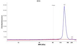 Cadherin-17 Antibody, Novus Biologicals 0.1mL; Unlabeled:Antibodies, Polyclonal