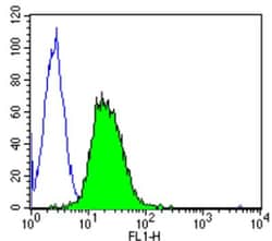 Calmodulin Antibody (2D1) - BSA Free, Novus Biologicals 200 &mu;L; Unconj&mu;gated:Antibodies,