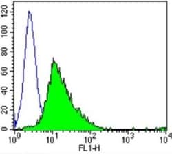 Calmodulin Antibody (2D1) - BSA Free, Novus Biologicals 200 &mu;L; Unconj&mu;gated:Antibodies,