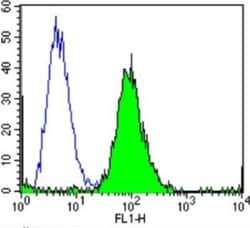 Calmodulin Antibody (2D1) - BSA Free, Novus Biologicals 200 &mu;L; Unconj&mu;gated:Antibodies,