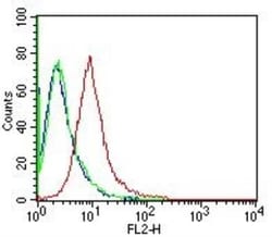 Calnexin Antibody (1C2.2D11) - BSA Free, Novus Biologicals 0.1mg; Unlabeled:Antibodies,