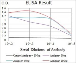 CaMKIV Antibody (8C5B8) - BSA Free, Novus Biologicals 0.1mL; Unlabeled:Antibodies,