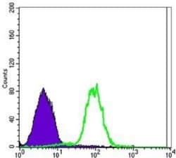 Carbonic Anhydrase IX/CA9 Antibody (2D3) - BSA Free, Novus Biologicals:Antibodies:Primary