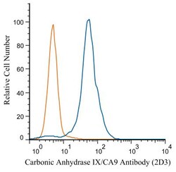 Carbonic Anhydrase IX/CA9 Antibody (2D3) - BSA Free, Novus Biologicals:Antibodies:Primary