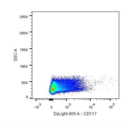 CD117/c-kit Antibody (YB5.B8), DyLight 405, Novus Biologicals 100 Tests;