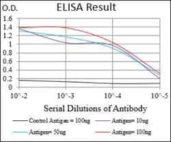 CD14 Antibody (4B4F12) - BSA Free, Novus Biologicals:Antibodies:Primary