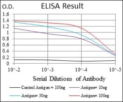 SSEA-1 Antibody (6B11B4) - BSA Free, Novus Biologicals 0.1mL; Unlabeled:Antibodies,