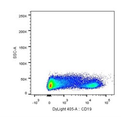 CD19 Antibody (CB19), DyLight 405, Novus Biologicals 100 Tests; DyLight