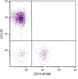 CD19 Antibody (SJ25-C1), Novus Biologicals 0.1mg; Unlabeled:Antibodies,