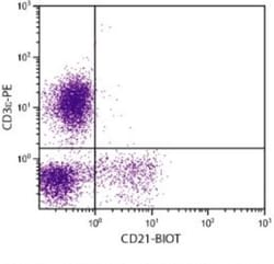CD21 Antibody (BB6-11C9.6) - Azide and BSA Free, Novus Biologicals 0.25mg;