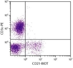 CD21 Antibody (BB6-11C9.6) - Azide and BSA Free, Novus Biologicals 0.25mg;