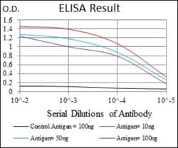 CD24 Antibody (4F4E10) - BSA Free, Novus Biologicals 0.1mL; Unlabeled:Antibodies,