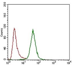 CD24 Antibody (4F4E10) - BSA Free, Novus Biologicals 0.1mL; Unlabeled:Antibodies,