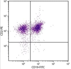 CD2 Antibody (12-15), PE, Novus Biologicals 0.2mg; PE:Antibodies, Monoclonal