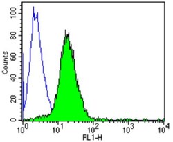 CD2 Antibody (TS2/18) - Azide and BSA Free, Novus Biologicals 50 &mu;g,