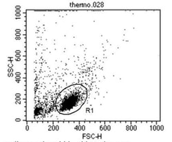 CD2 Antibody (TS2/18) - Azide and BSA Free, Novus Biologicals 50 &mu;g,