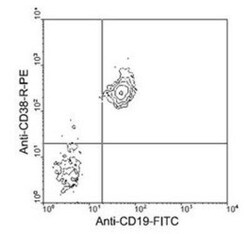 CD38 Antibody (NIMR-5) - Azide and BSA Free, Novus Biologicals 0.5mg; Unlabeled:Antibodies,