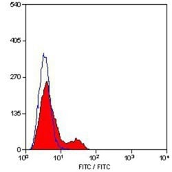 CD3 Antibody (KT3) - BSA Free, Novus Biologicals 0.125 mg; Unconjugated:Antibodies,
