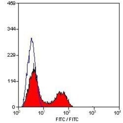 CD3 Antibody (KT3) - BSA Free, Novus Biologicals 0.125 mg; Unconjugated:Antibodies,