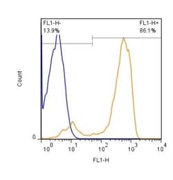CD3 Antibody (OKT3), Alexa Fluor 488, Novus Biologicals 100 Tests; Alexa