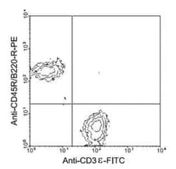 CD3 epsilon Antibody (C363.29B (YCD3-1)), FITC, Novus Biologicals 0.25mg;