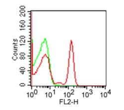 CD4 Antibody (RPA-T4), PE, Novus Biologicals 100 Tests; PE:Antibodies,