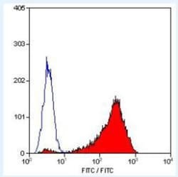 CD42b/GPIb alpha Antibody (AK2) - BSA Free, Novus Biologicals:Antibodies:Primary