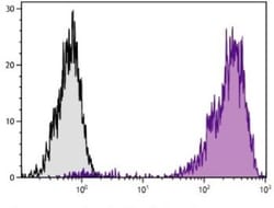 CD44 Antibody (F10-44-2), PE, Novus Biologicals 1mL; PE:Antibodies, Monoclonal