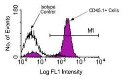 CD45.1 Antibody (A20), FITC, Novus Biologicals 0.25mg; FITC:Antibodies,