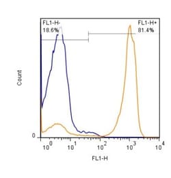CD45 Antibody (30-F11) - BSA Free, Novus Biologicals 0.5mg; Unlabeled:Antibodies,