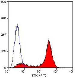 CD45 Antibody (OX-1) - BSA Free, Novus Biologicals 0.25mg; Unlabeled:Antibodies,