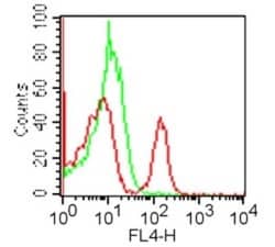 CD4 Antibody (GK1.5) - Azide and BSA Free, Novus Biologicals:Antibodies:Primary