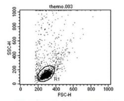 CD58/LFA-3 Antibody (TS2/9) - Azide and BSA Free, Novus Biologicals:Antibodies:Primary