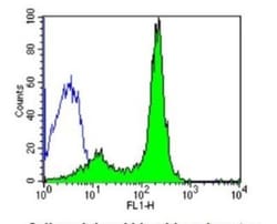 CD58/LFA-3 Antibody (TS2/9) - Azide and BSA Free, Novus Biologicals:Antibodies:Primary