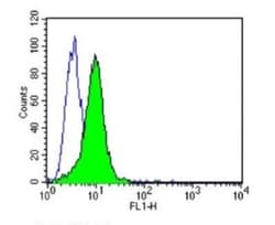 CD58/LFA-3 Antibody (TS2/9) - Azide and BSA Free, Novus Biologicals:Antibodies:Primary