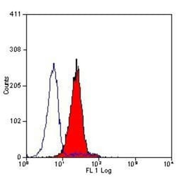 CD59 Antibody (YTH53.1) - BSA Free, Novus Biologicals 0.1 mg; Unconjugated:Antibodies,