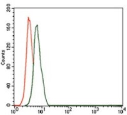 CD59 Antibody (8D2B8) - BSA Free, Novus Biologicals 0.1mL; Unlabeled:Antibodies,