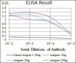 CD5 Antibody (6A11) - BSA Free, Novus Biologicals 0.1mL; Unlabeled:Antibodies,