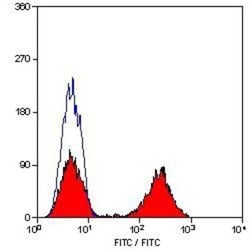 CD5 Antibody (MF7-14.5), Novus Biologicals 100 Tests; Unconjugated:Antibodies,