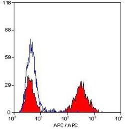 CD5 Antibody (MF7-14.5), Novus Biologicals 100 Tests; Unconjugated:Antibodies,