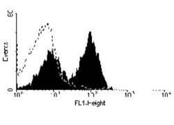 anti-CD5, FITC, Clone: OX-19, Novus Biologicals 0.1mg; FITC:Antibodies,
