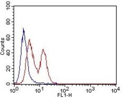 CD63 Antibody (7G4.2E8) - BSA Free, Novus Biologicals 0.1mg; Unlabeled:Antibodies,