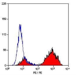 CD68/SR-D1 Antibody (ED1) - BSA Free, Novus Biologicals:Antibodies:Primary